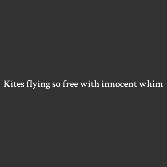 Free as a kite